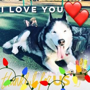 Meet your Posher, Theresa